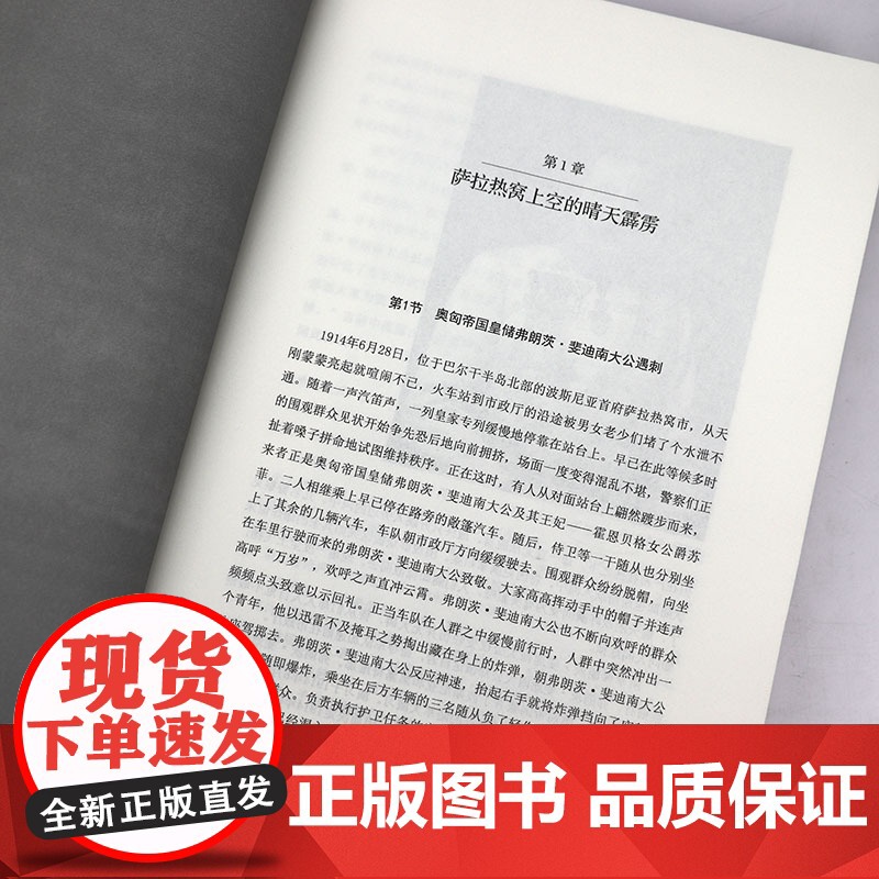 [精装]通俗第一次世界大战史 东方世界史 日本视角的第一次世界大战全记录一战全史书籍高清大图