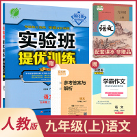 2020 九年级上册人教版语文 实验班提优训练RMJY 9年级上册人教版语文 初中语文同步课时训练习册必刷题考场抢分宝典