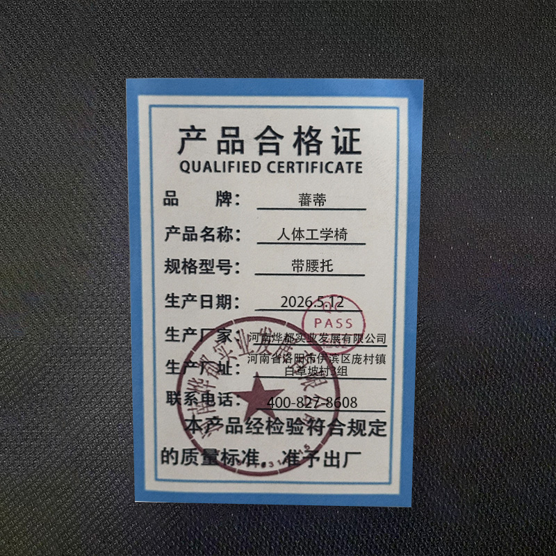 蕃蒂人体工学椅带腰托把高清大图