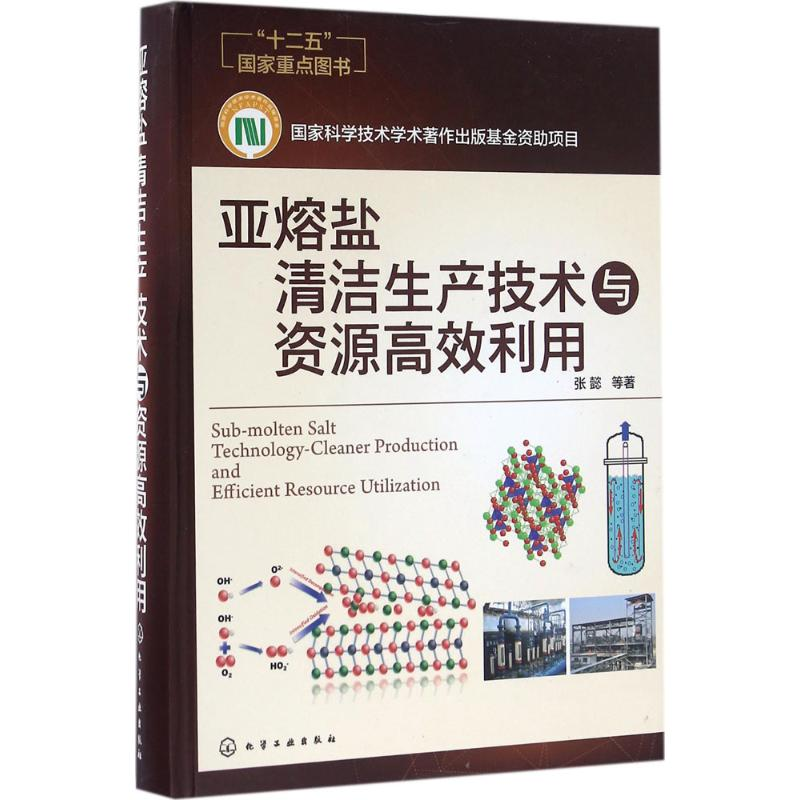醉染图书亚熔盐清洁生产技术与资源高效利用9787122259400高清大图
