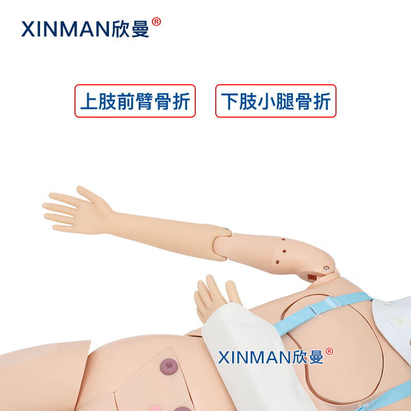 欣曼科教 四肢骨折固定训练模拟人 上肢前臂骨折 下肢小腿骨折XM-GZ800高清大图
