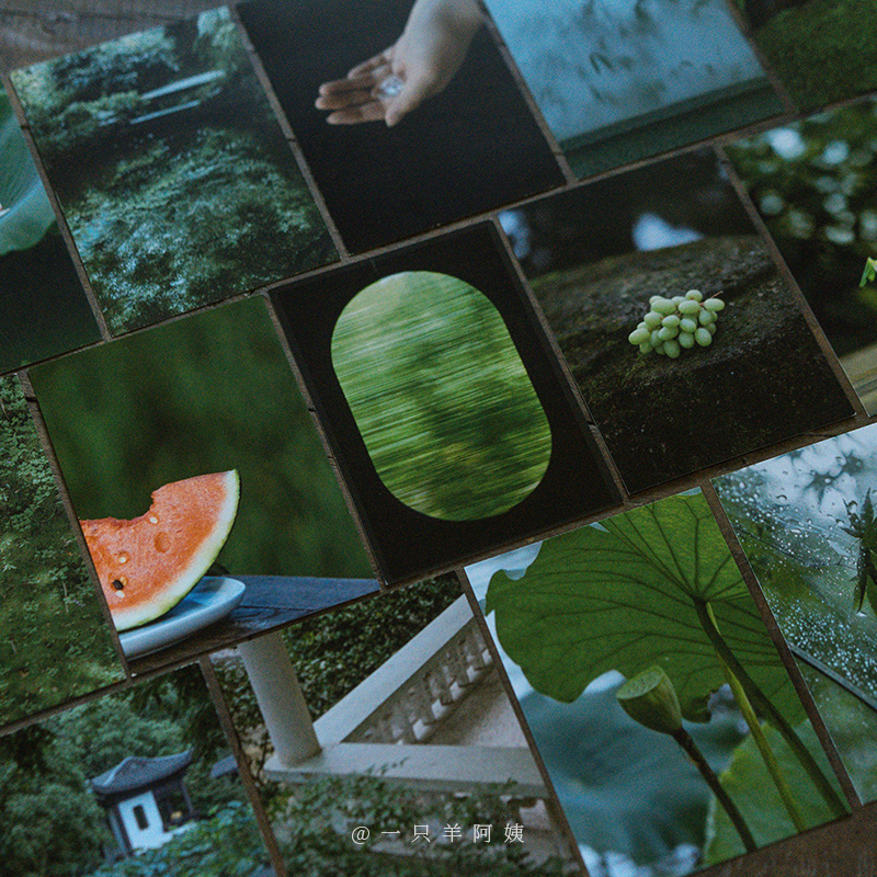 [正版]知否知否 摄影师@一只羊阿姨28张摄影作品 大自然中绿色系景象和事物 出类艺术明信片创意唯美风景文艺小清新贺卡高清大图