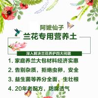 兰花土 种植专用植料铁皮石斛蝴蝶兰月季玫瑰多肉通用营养土基质