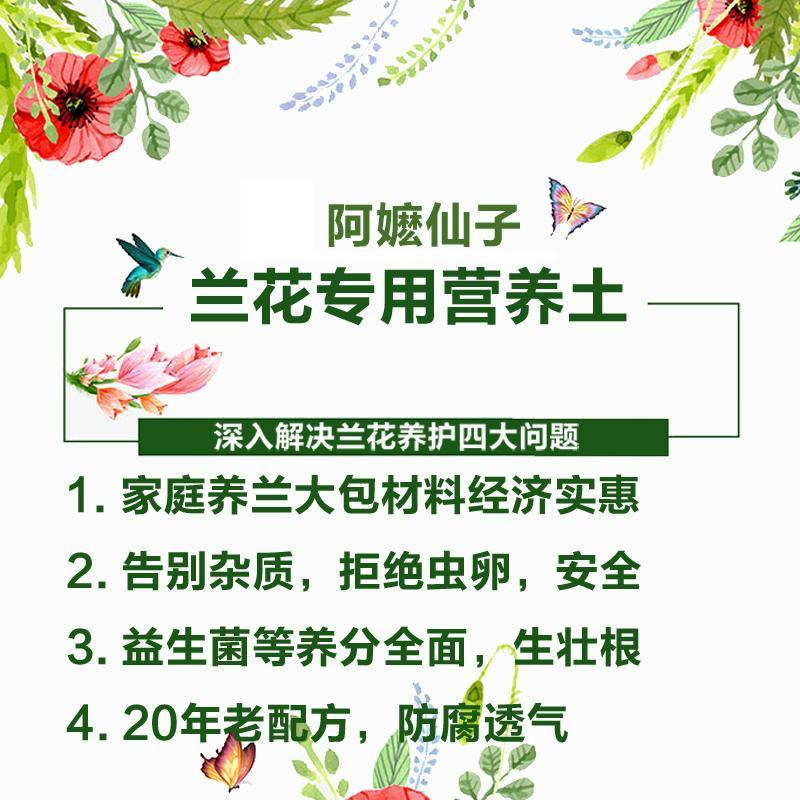 兰花土 种植专用植料铁皮石斛蝴蝶兰月季玫瑰多肉通用营养土基质