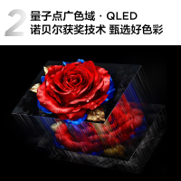 TCL电视 55T5L 55英寸 240Hz高刷 QLED量子点 灵控系统 超薄电视