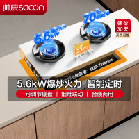 帅康(sacon)3B816W燃气灶嵌入式双眼灶5.6kW大火力可调节定时钢化玻璃台嵌两用家用打火灶双灶台式煤气灶天然气