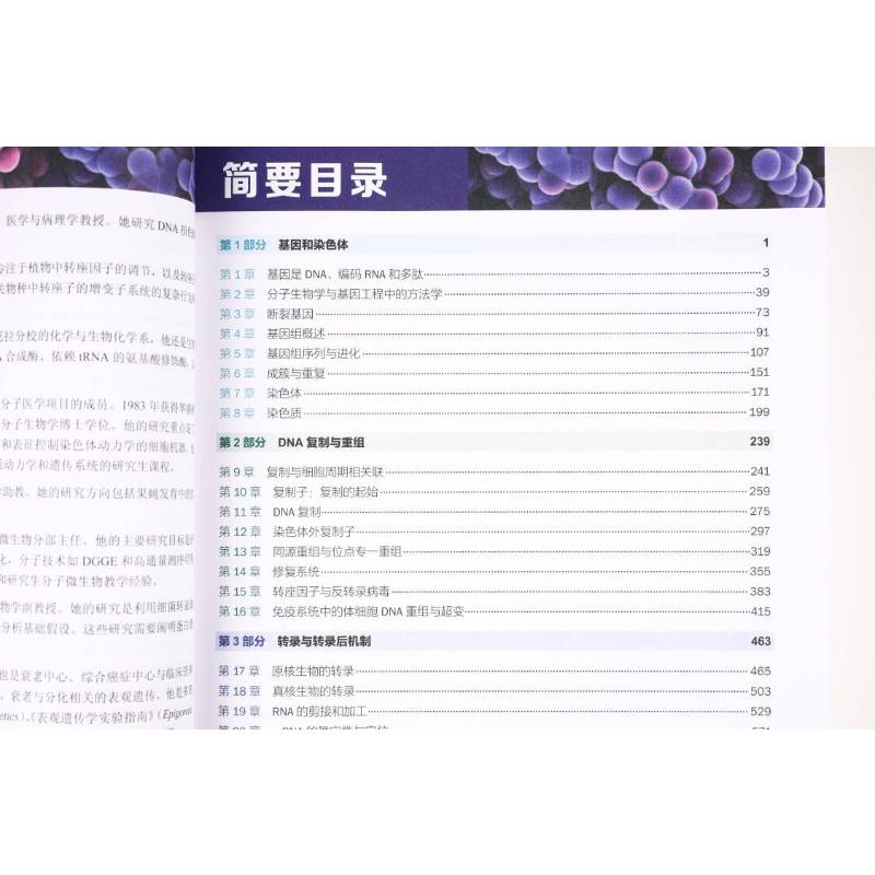 醉染图书Lewin基因 129787030677686高清大图