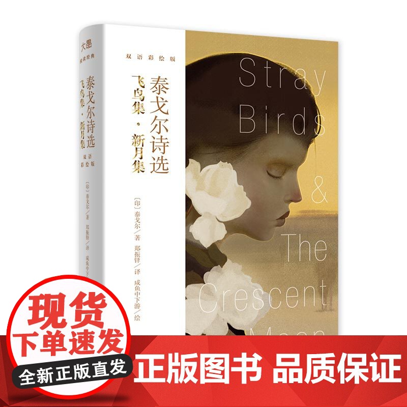 泰戈尔诗选 新月集飞鸟集 咸鱼中下游绘双语彩绘版 英语英文诗歌 文学诗集外国诗歌名著英美文学 泰戈尔诗集飞鸟集泰戈尔正高清大图