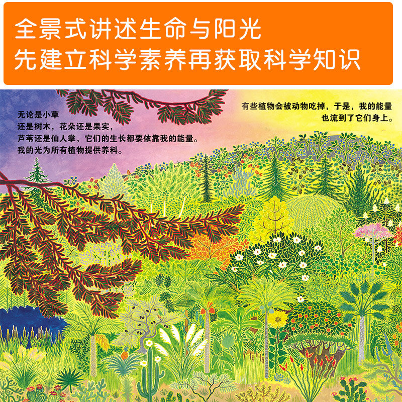 阳光的故事全4册 [正版]阳光的故事 自然科学启蒙书科普类儿童读物化学入门绘本 写给孩子的科普书幼儿园小学生课外阅读儿童高清大图