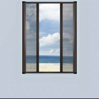 定制 拉伸式纱窗门