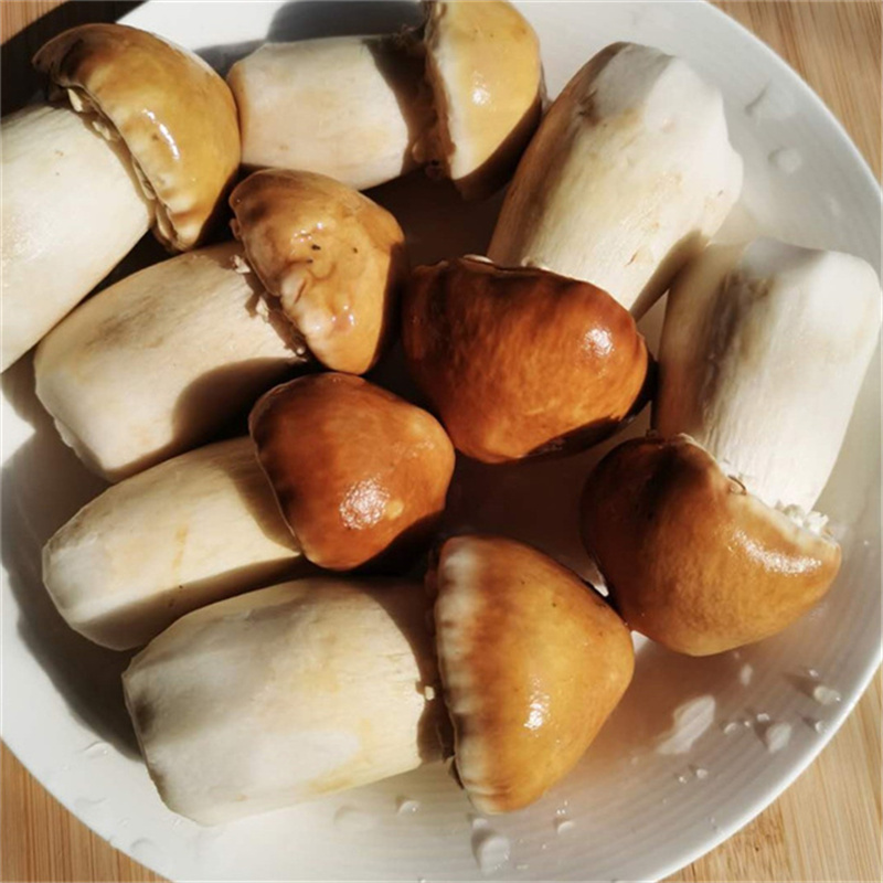 湖北三峡深山屈乡姬松茸55g/罐食用菌甄选蘑菇松茸新货无熏硫湖北特产新鲜营养高清大图