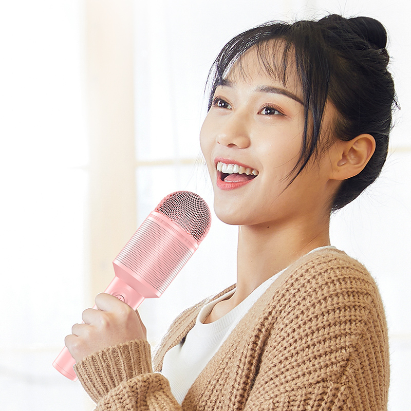 索爱mc8话筒音响一体麦克风手机无线蓝牙适用唱吧全民k歌神器家用唱歌儿童电视家庭ktv卡拉OK专用宝声卡直播[毛绒套装]
