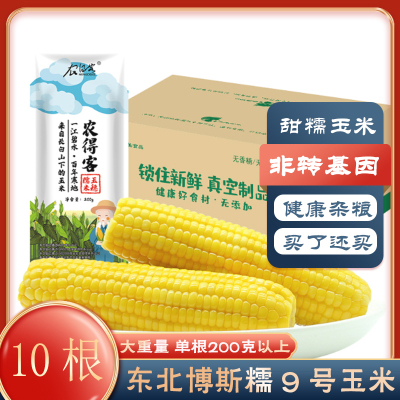 苏宁宜品自营农得客博斯糯9号东北香甜糯玉米棒10根 非转基因健康减肥杂粮