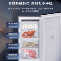 澳柯玛家用立式冷柜BD-113EVH冷冻低温时尚家用侧开门冰柜电脑控温储奶小冰箱