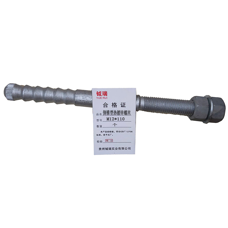 钺瑞锚栓M12*110/个