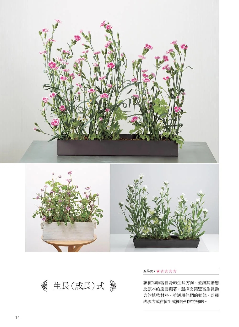 [醉染正版] 花艺设计基础理论学(修订版)学习花的构成技巧‧色彩调和‧构图配置 22 唐静羿 喷泉文化馆 进口原版高清大图