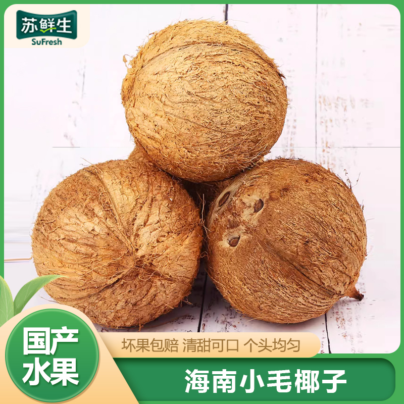 [苏鲜生]海南毛椰子 热带老椰子 6个装 整箱 热带特产 苏鲜生1高清大图