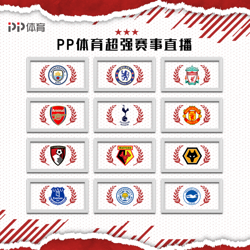 PP体育18-19赛季英超会员1月