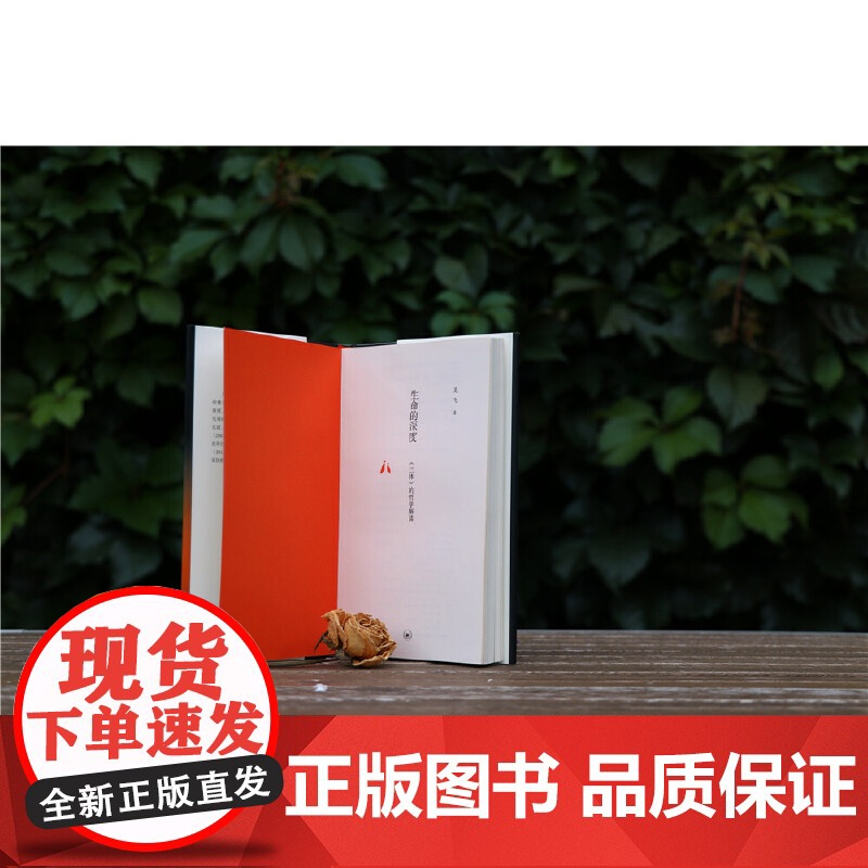 生命的深度:《三体》的哲学解读 吴飞 (吴飞新作,一部从哲学角度深度解读《三体》 生活读书新知三联书店 正版书籍高清大图