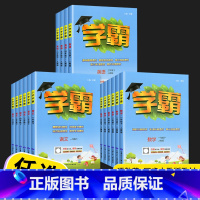 数学(北师版) 一年级下 [正版]2023经纶学典小学学霸一年级二年级三年级四年级五年级六年级上册下册全套语文数学英语人