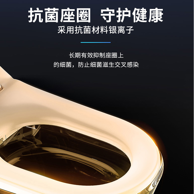法恩莎即热式多功能智能马桶 F12-1