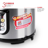 利仁(Liven)电压力锅高压锅多功能家用5L大容量电压力煲可预约电饭锅电饭煲电炖锅西施压力煲DNG-500A不锈钢色