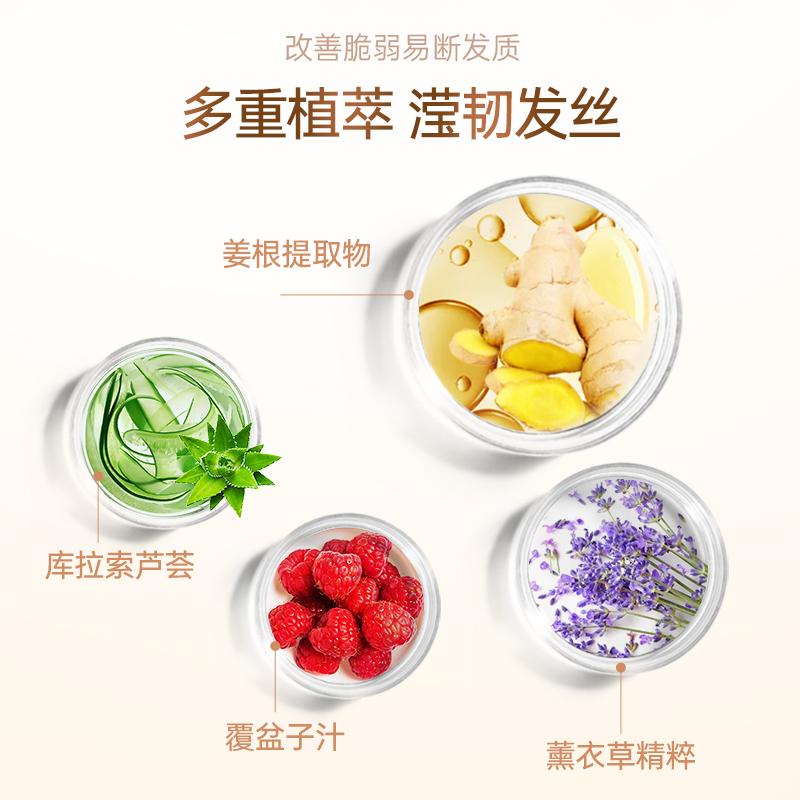 滋源生姜强根健发护发素(中干性)535ml