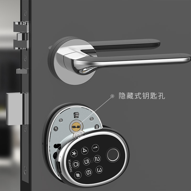 Kaadas凯迪仕智能锁R9H 室内指纹密码锁 卧室锁 门锁带把手智能安防 亮铬银