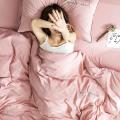 款公主风四件套少女心床品套件简约床单被套床上用品三件套_405 1.8m床单款【被套200*230cm】四件套 MS刺绣款-藕粉