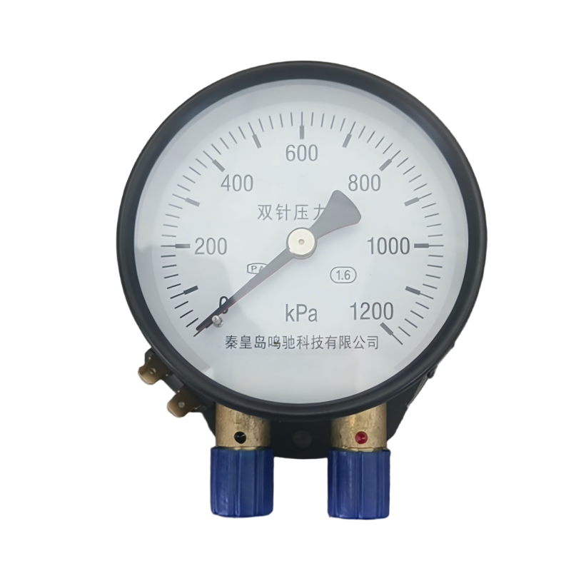 鸣驰鑫鼎 压力表 YZS-102 个高清大图
