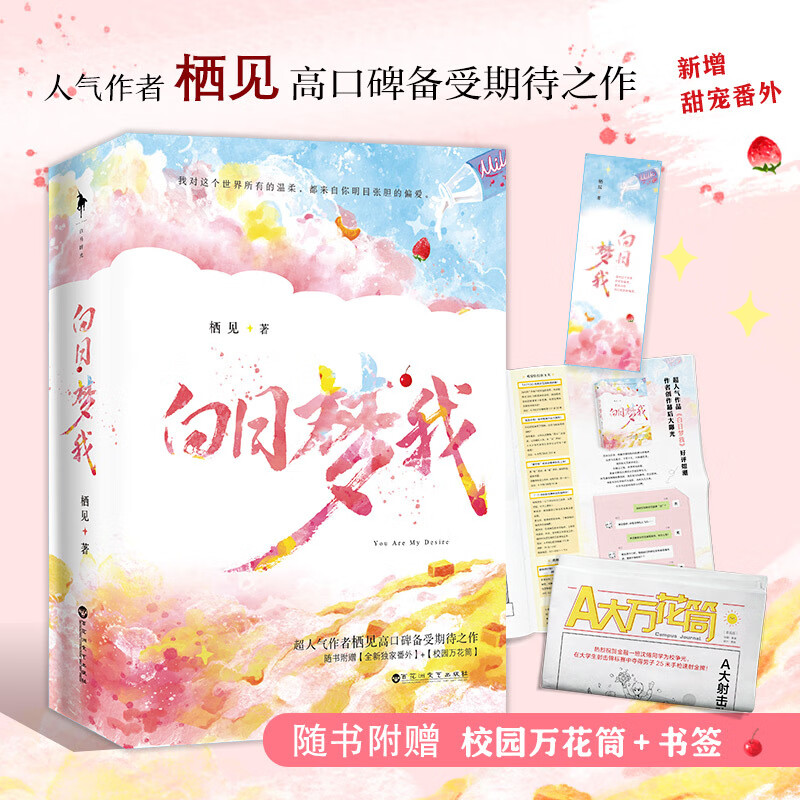 [彩绘飞机盒 赠立牌+钥匙扣+书签] 白日梦我栖见实体小说书上下册全套删减 校园青春言情甜宠高清大图