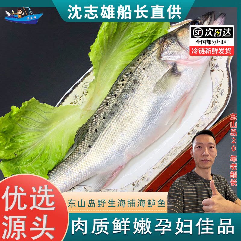沈志雄船长 东山岛海鲜海钓七星鲈鱼 2条 袋装 2条总共1200g去肚后发货 保鲜图片