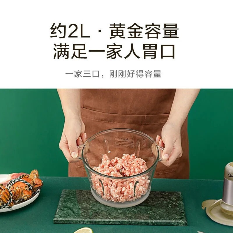 美的(Midea) 绞肉机家用料理机多功能绞馅机迷你绞肉机蔬果泥绞馅碎菜搅肉机 MJ-MC30X1-101