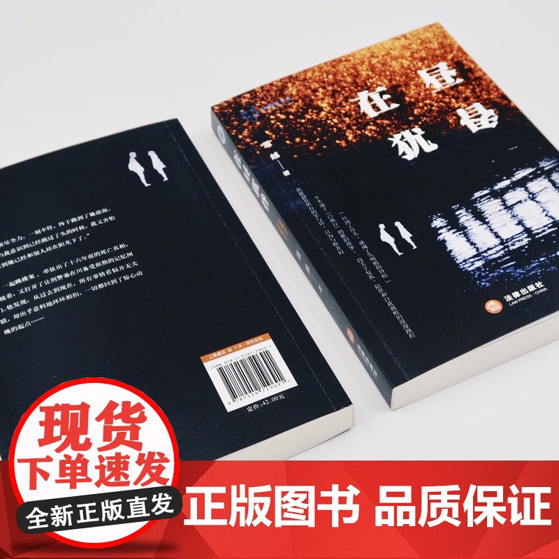 正版 在昼犹昏 盖越 法律出版社 zk高清大图