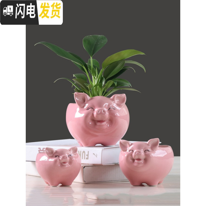 三维工匠简约卡通多肉花盆陶瓷创意个性可爱小猪客厅植物白色花盆绿萝花器 有孔土养手绘蓝色小猪花盆 中等花盆容器