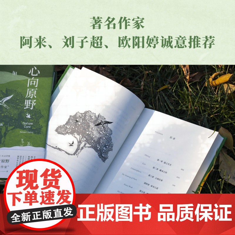 心向原野 自然如何治愈了我(阿来、刘华杰、刘子超、欧阳婷!《杂草的故事》作者理查德·梅比暖心力作!)高清大图
