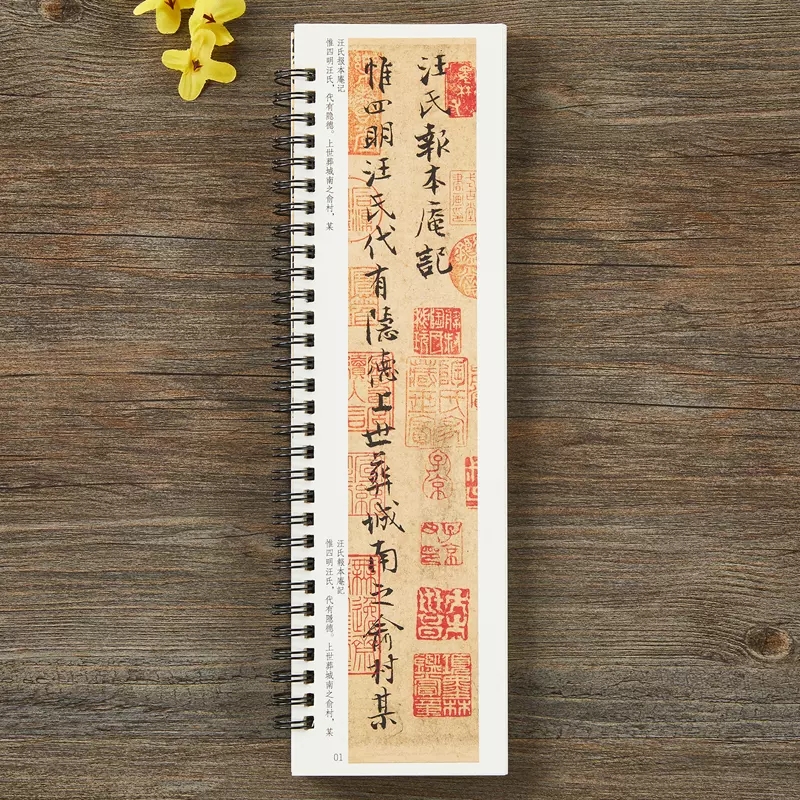 [正版]张即之汪氏报本庵记行楷行书毛笔书法字帖 南宋经典碑帖书法临摹字卡原大加放大版附简体旁注 近距离临摹字卡 黑龙江高清大图