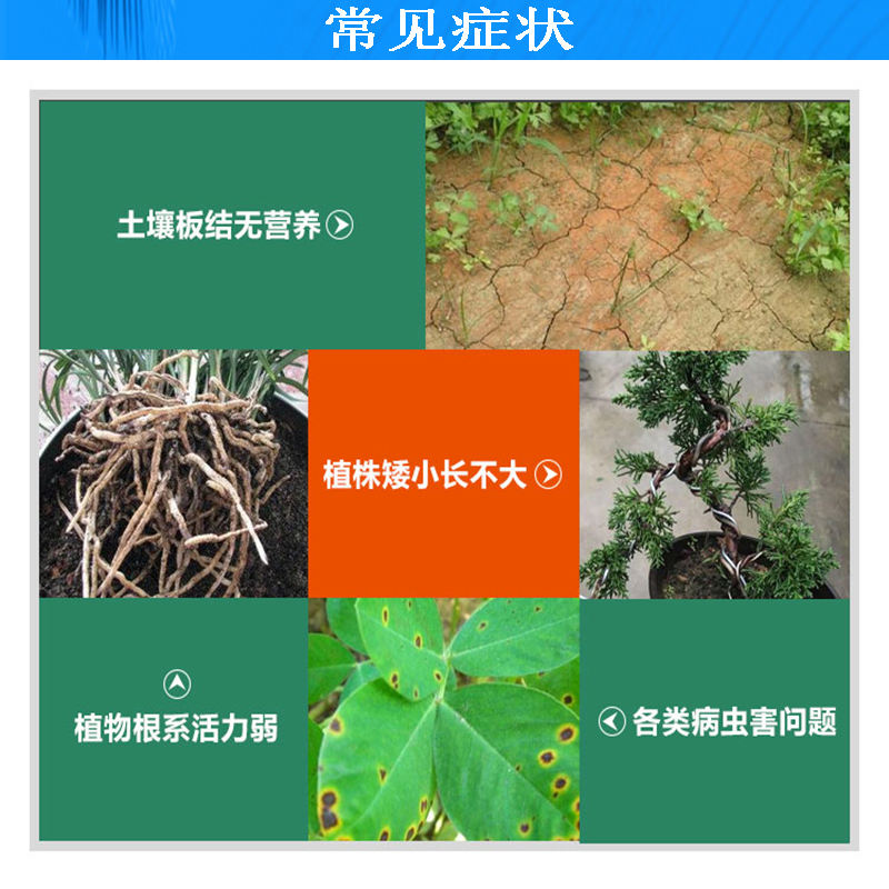 苏宁 森活 生物有机肥 25千克 1袋高清大图