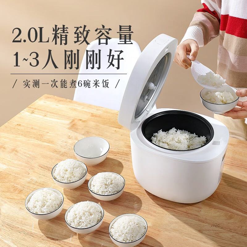 山水(SANSUI) 家用多功能电饭煲 SF-133 白色高清大图