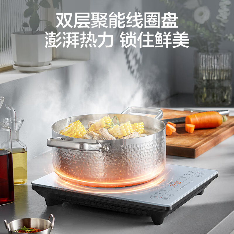 苏泊尔(SUPOR)甄晶系列 电磁炉C22-IA922 配双锅高清大图