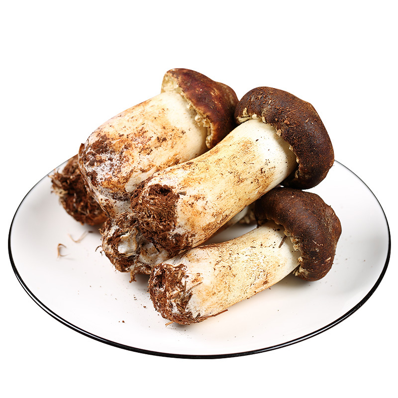 中华特色新鲜姬松茸巴西菇姫松茸云南特产菌鲜赤松茸蘑菇