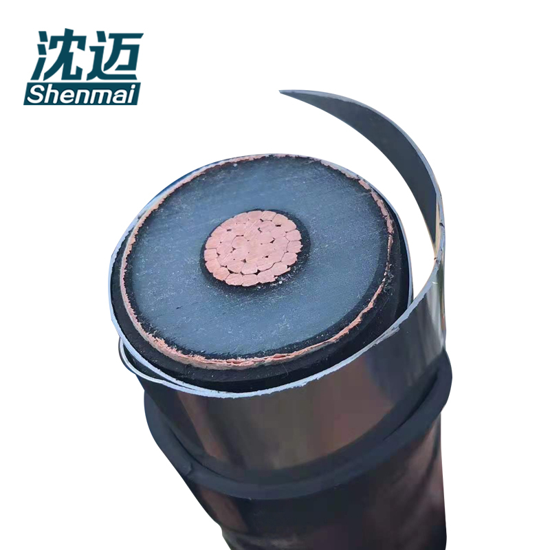 沈迈 铜芯铠装电缆 ZC-YJV62-10-1-1*50mm² /米高清大图