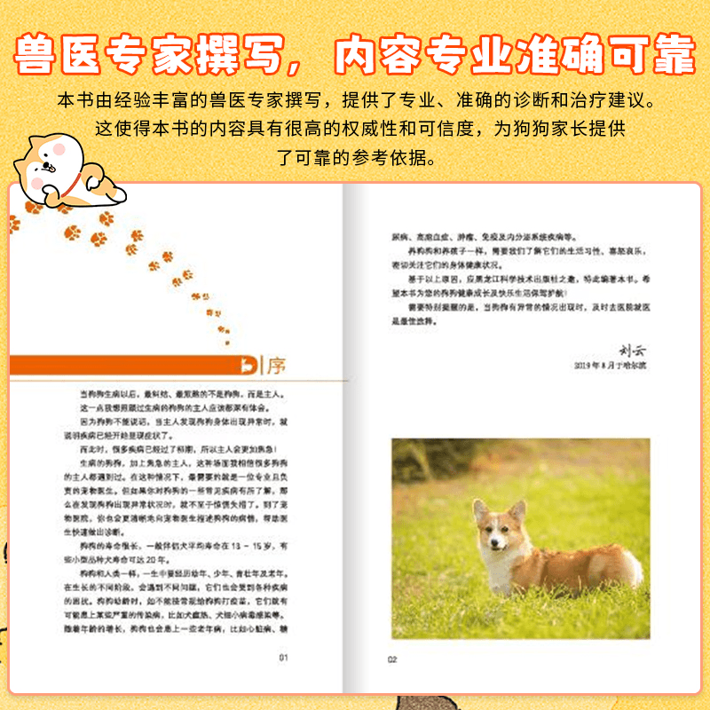 萌犬家庭医生:狗狗常见疾病速查手册 [正版]萌犬家庭医生狗狗常见疾病速查手册狗狗小病不求医一本超实用的狗狗疾病书从容应对高清大图