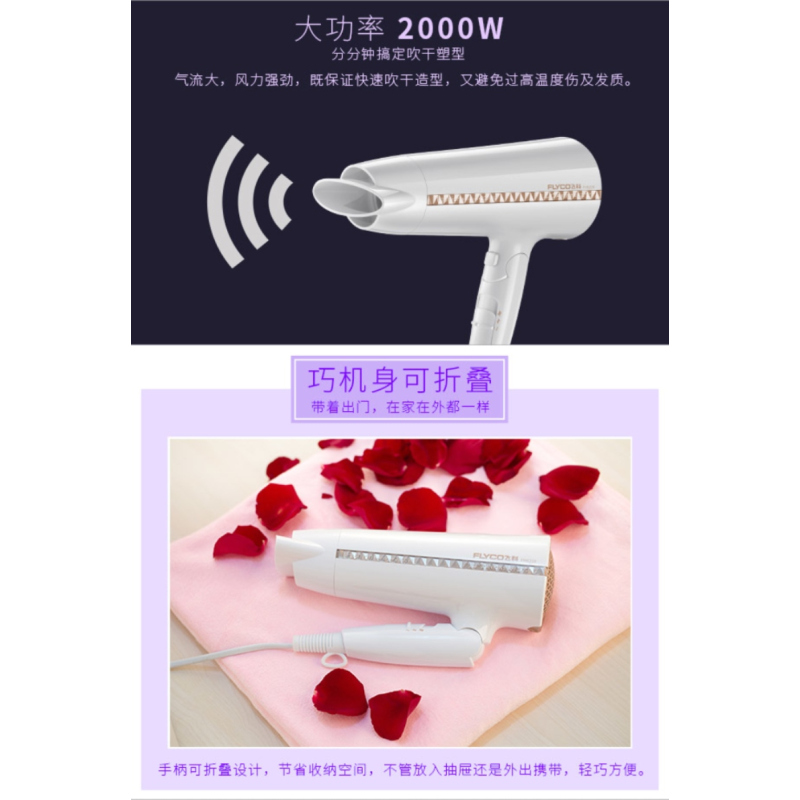飞科 (FLYCO)FH6228大功率电吹风家用负离子吹风筒冷热风
