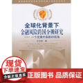 全球化背景下金融风险的跨国分摊研究——一个发展中国家的视的