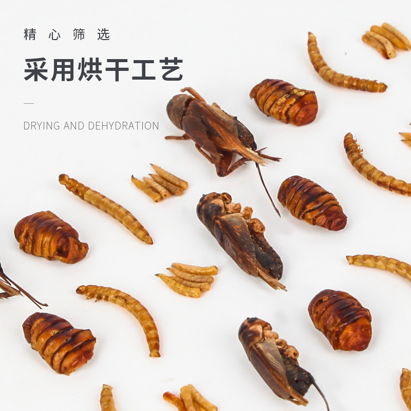 仓鼠粮食面包虫蚕蛹蟋蟀干非洲迷你刺猬零食主粮饲料食物高清大图