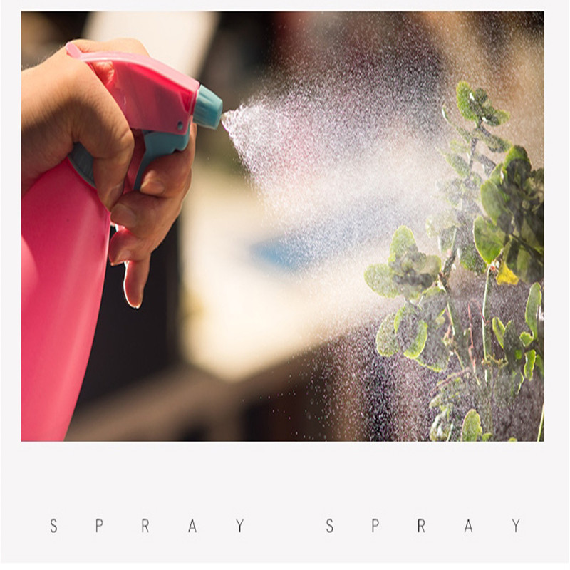 园艺工具糖果色洒水壶浇水壶 浇花喷雾器小喷壶 小型喷雾壶喷水壶