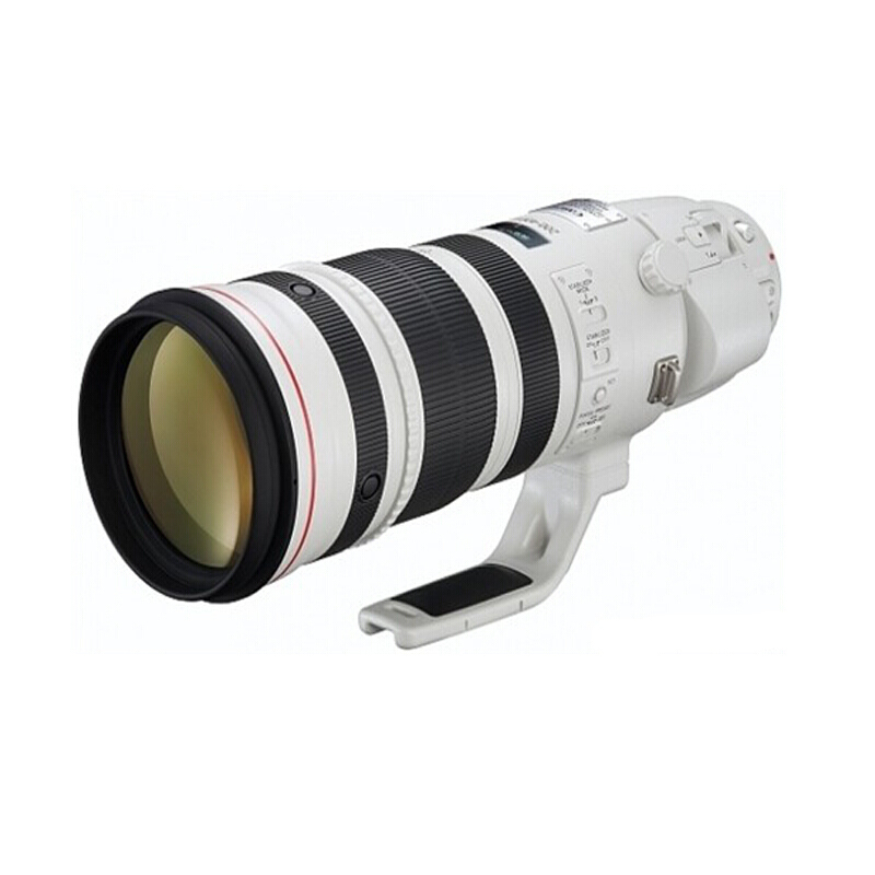 佳能(Canon) EF 200-400mm f/4L IS USM 佳能卡口 不支持滤镜 远摄变焦镜头
