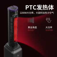 志高(CHIGO)ZNB-22P19YW太空灰取暖器取暖器家用立式暖风机节能省电办公室烤火炉暖气机神器电暖气暗