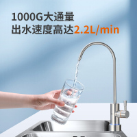 九阳(Joyoung) 净水器 家用直饮一体机 ro反渗透 纯水机 1000G 自来水过滤器 R500